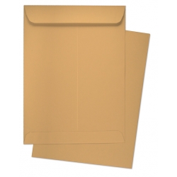  BESFORM Brown Envelope, Gummed 10x12" 3's