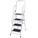  FUJIPLUS Foldable 4-Step Ladder w/ Handrail