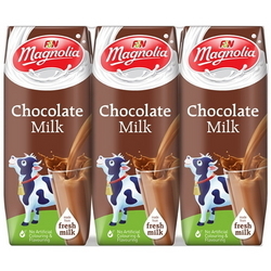  MAGNOLIA Uht Milk, Chocolate 24's x 250ml