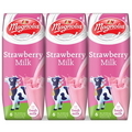  MAGNOLIA Uht Milk, Strawberry 24's x 250ml