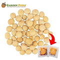  GARDEN PICKS Natural Macadamia 20's x 30g