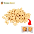  GARDEN PICKS Roasted Peanut Unsalted 20's x 30g