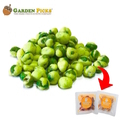  GARDEN PICKS Wasabi Green Peas 20's x 20g