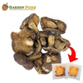  GARDEN PICKS Shiitake Mushroom Chips 20's x 15g
