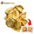  GARDEN PICKS Jackfruit Chips 20's x 10g