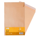  ESPP Brown Giant Envelope, Peal & Seal 9" x 12.75" 250's/Box