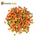  GARDEN PICKS Spicy Mix 1KG