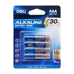  DELI Alkaline Battery 4's (AAA)