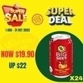  OFFER09 BIG BEE PINEAPPLE HONEY DRINK 300MLX24 CANS