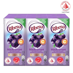  RIBENA Blackcurrant Fruit Drink - Less Sweet, 200ml x 24's