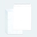  ESPP White Envelope, Peel & Seal 9x12.75" 250's